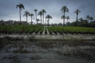 Alerta roja por la dana Alice en la Comunidad Valenciana y Murcia con lluvias de hasta 180 litros en 12 horas