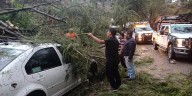 Atienden de inmediato reportes por caída de árboles y encharcamientos en Oaxaca de Juárez