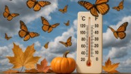 Clima en Nuevo Laredo: lunes de descenso gradual de temperatura; ¿cuándo llegan las lluvias?