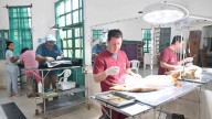 Cronograma de castración de mascotas en San Salvador de Jujuy