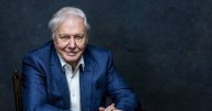 David Attenborough outfoxes foxes in a bid to expose London's critters for new doc