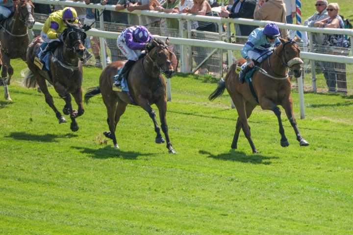 Jubilee may be treated to a Rousing Encore at York