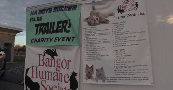 Hampden Academy boys soccer program is fund raising for the Bangor Humane Society