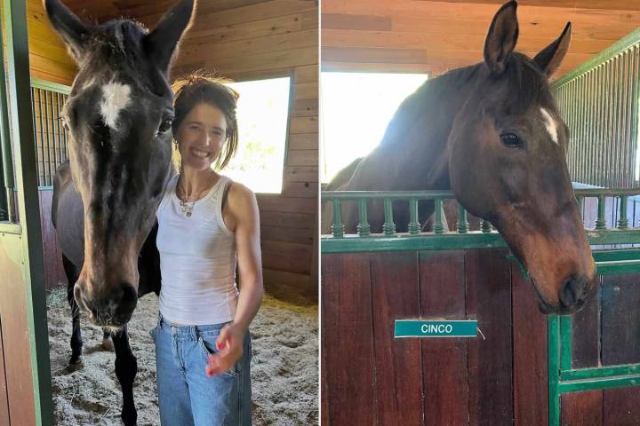 Cinco, Longtime Horse of Katherine Schwarzenegger, Dies After 24 Years with Author