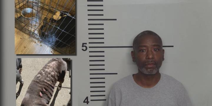 LMPD: Man facing animal cruelty charges after 19 dogs found living in ‘extremely poor conditions’