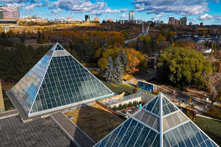 15 amazing things to do this weekend in Edmonton: Oct. 17 to 19