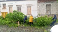 Un fuerte temporal afectó a Junín en la madrugada de hoy