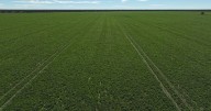 Warrawing: productive NSW farm for sale at $9.5 million