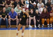 VOLLEYBALL DISTRICT PREVIEW: County stacked with contenders in Division 1