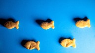 What is food noise? Plus Ro, GSK, Vertex news: The Readout