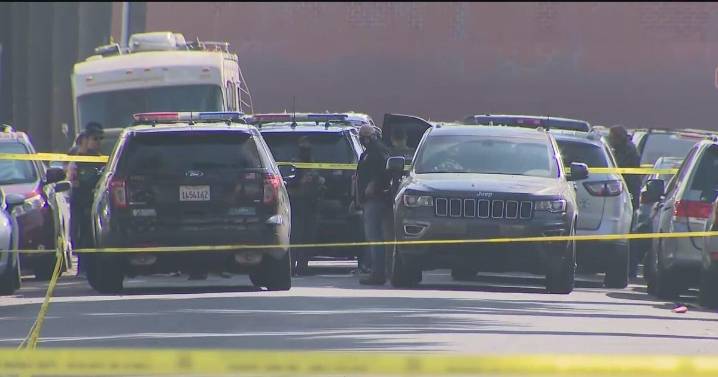 Deputy U.S. Marshal, TikTok influencer shot during LA immigration operation