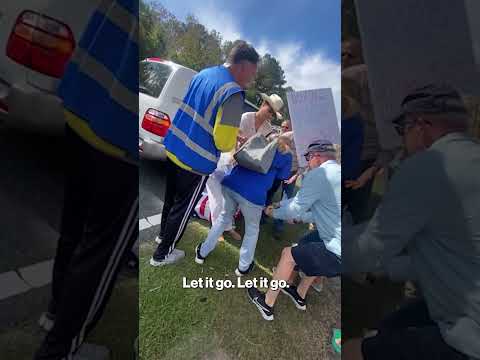 Wild Moment Woman Tries to Steal Flag from 'No Kings' Protesters & is Charged with Assault #shorts