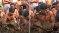 Inside India’s wildest Diwali celebration: Villagers in Karnataka throw cow dung to mark end of festivities
