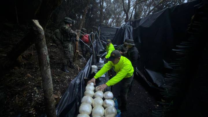 Fuerzas Militares neutralizan infraestructura para procesar heroína en Nariño