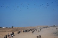 'Full of sorrow': Gazans trek home as truce begins