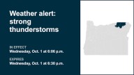 Weather alert for strong thunderstorms Wednesday evening