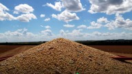 La soja se mantuvo sin cambios y cerró este lunes a $495 mil por tonelada en Rosario