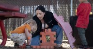 Universal child care initiative to launch Nov. 1 under revised final rule