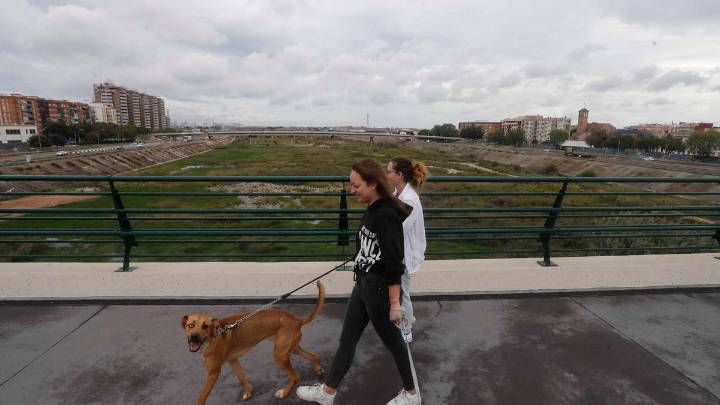 El nuevo cauce del Túria que salvó Valencia de la dana, pendiente de ampliar