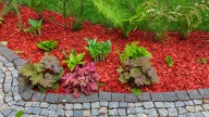 It's Time To Retire This Bold Landscaping Trend For A Better Alternative