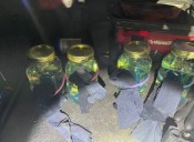 Man with Molotov cocktails in trunk planned to burn down businesses, ATF says