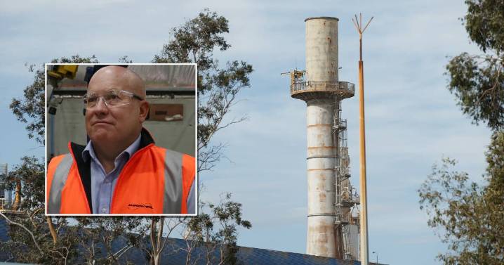 Tomago Aluminium smleter: Key to NSW's energy transition
