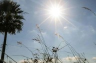 Calor y viento en Santiago del Estero: así estará el tiempo este domingo 5