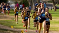 El Paso high school cross country runners shine in district competition