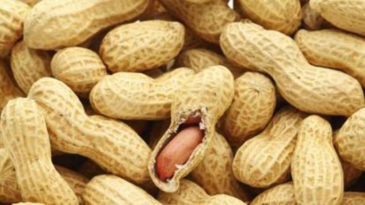 Feeding six-month-olds with peanut powder or puree can increase their food tolerance in later years: Why new study has a lesson in peanut allergy