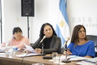 Santa Cruz: legisladores analizan el plan urbanístico y el impacto del cierre de la mina Manantial Espejo