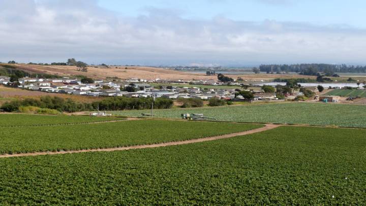California Sanctions Stark Disparities in Pesticide Exposure During Pregnancy