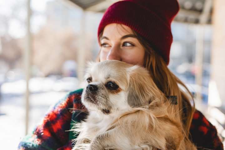 7 Dog Breeds That Live the Longest, According to Veterinarians