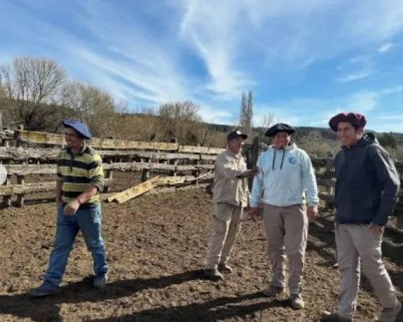 Jornada de sanidad en Polcahue fortalece el plantel ganadero y el desarrollo sostenible
