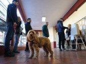 Clima hoy en las elecciones 2025: cómo estará el tiempo en el AMBA y la buena noticia que trae el mapa de alertas este domingo 26 de octubre