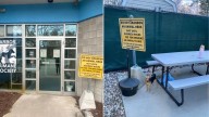 Tiny Dog Found Tied To A “Do Not Abandon Animals” Sign In Michigan Breaks Hearts Everywhere