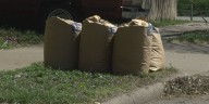 Macomb fall yard waste collection begins