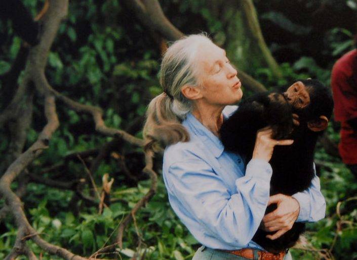 10 Surprising Facts You Didn’t Know About Jane Goodall