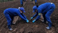 Agrifresh, la empresa que lleva más de 20 años llevando hierbas aromáticas al mundo