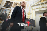 Trump notifica al Congreso que EU está en “conflicto armado no internacional” contra cárteles: NYT