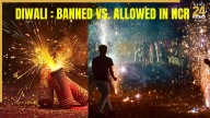 Delhi-NCR’s ‘Patakhe Wali’ Diwali: Can You Burst Traditional Crackers This Year? What’s Banned, What’s Allowed, and When You Can Burst