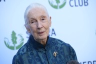 Report: Jane Goodall's cause of death revealed