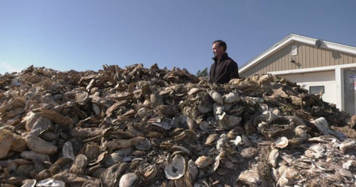 P.E.I. fishers push for immediate relief as parasites cut into catches