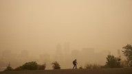 Study: UW researchers link wildfire smoke exposure to decline in sperm quality