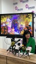 Invitan a celebrar Día de Muertos con causa en el Parque Central