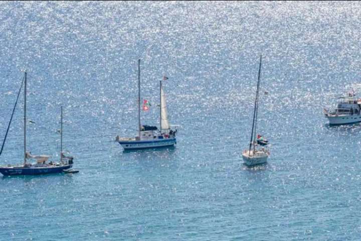 Gaza: interceptaron la flotilla humanitaria y detuvo a varios de sus tripulantes