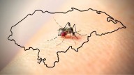 Honduras reporta disminución en casos de dengue
