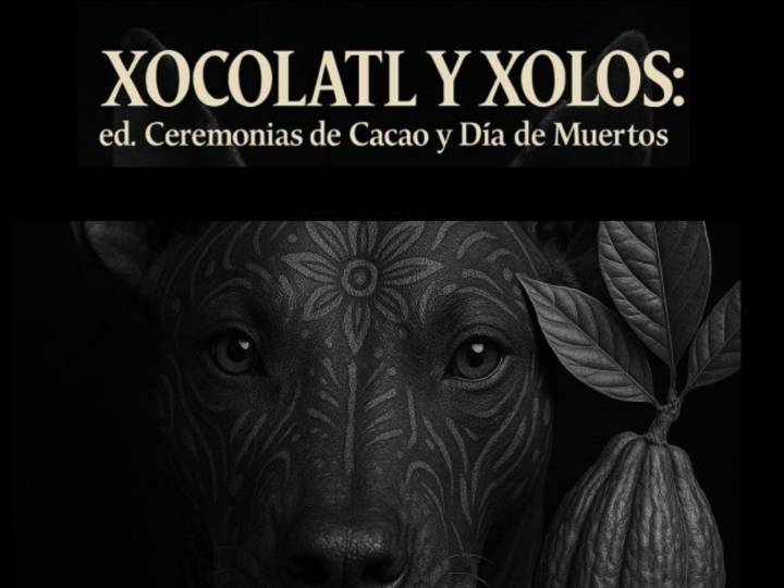 Xocolatl y Xolos en CDMX: ¿cuándo es el festival que honra a tus seres queridos y mascotas?