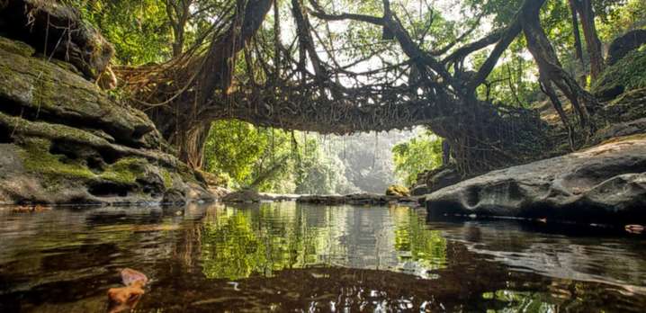 Tourists willing to pay Rs 154 to preserve Meghalaya’s Living
