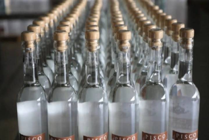 Produce: Concurso Nacional del Pisco 2025 inicia etapa de análisis físico