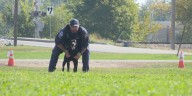 Aspiring rescue dogs travel cross country to Lincoln for FEMA certification